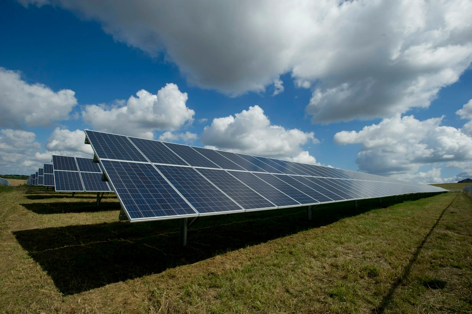 Solar panel array showing clean energy technology deployment